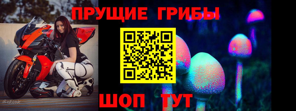 продажа наркотиков  Вход с VPN  Заречный  Галлюциногенные грибы GOLDEN TEACHER 
