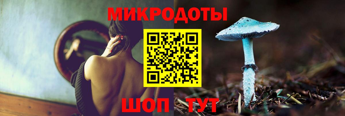 Псилоцибиновые грибы Cubensis Заречный